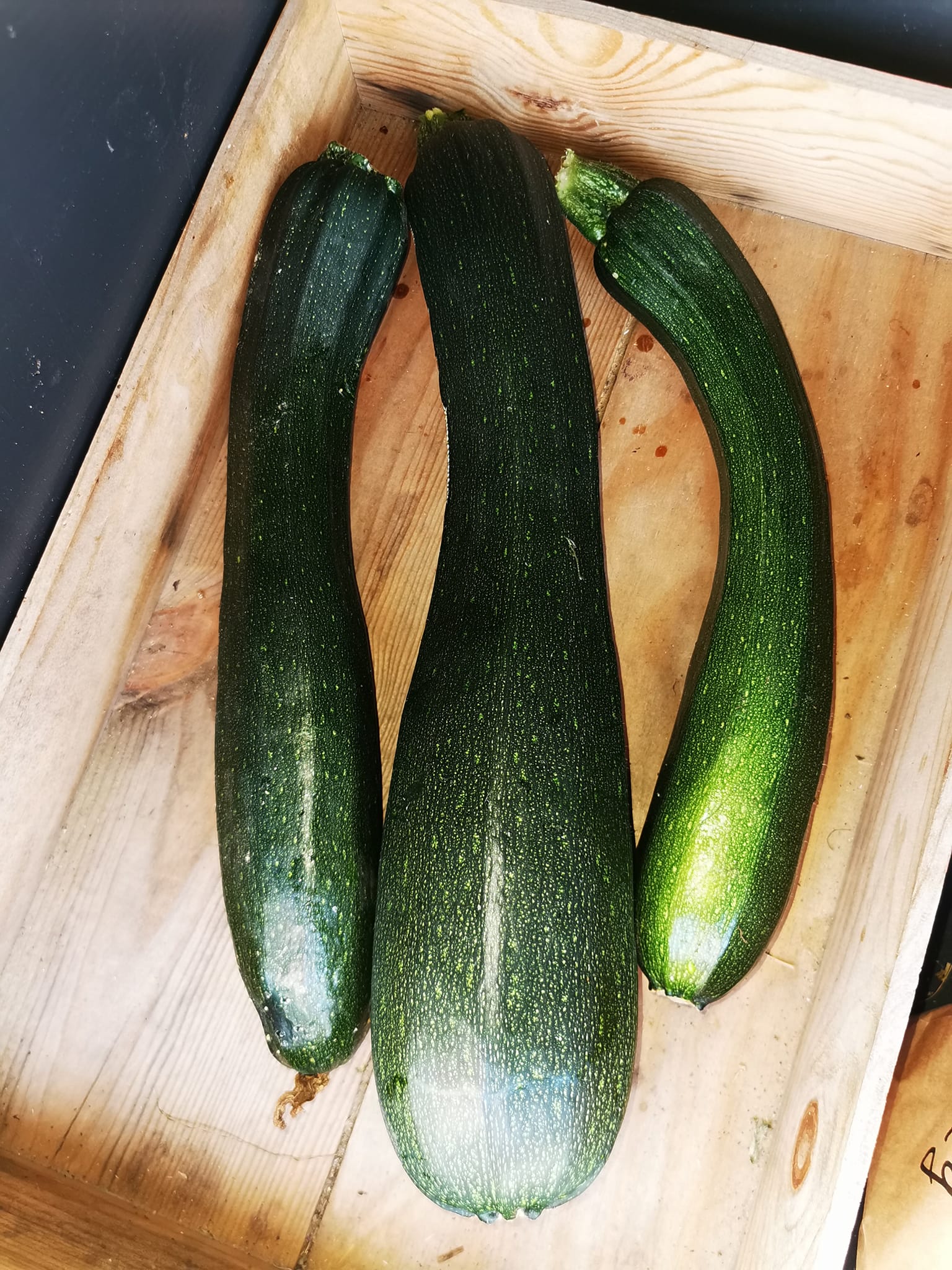 courgetter i trækasse